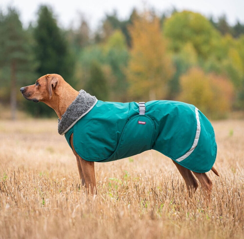 Toppa Hundedekken til Sele Blå/Grønn (40)