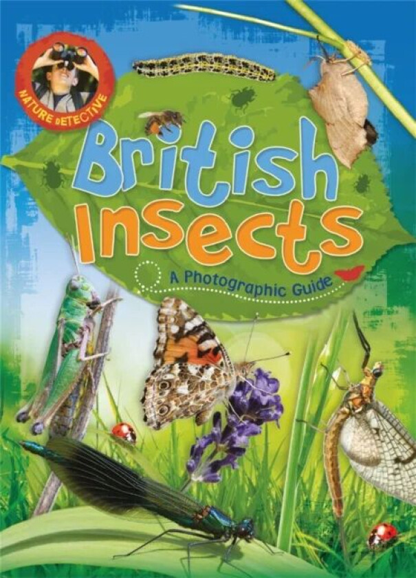 Nature Detective: British Insects av Victoria Munson