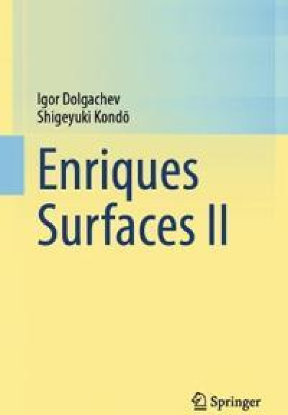 Enriques Surfaces II
