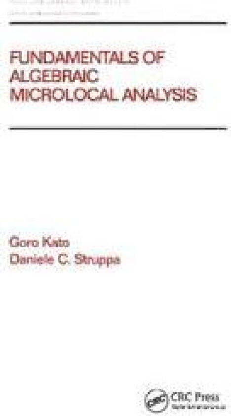 Fundamentals of Algebraic Microlocal Analysis
