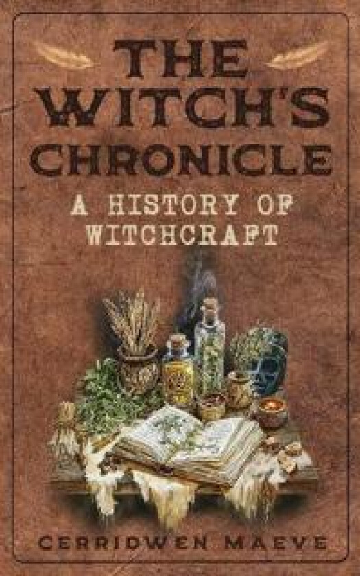 The Witch's Chronicle