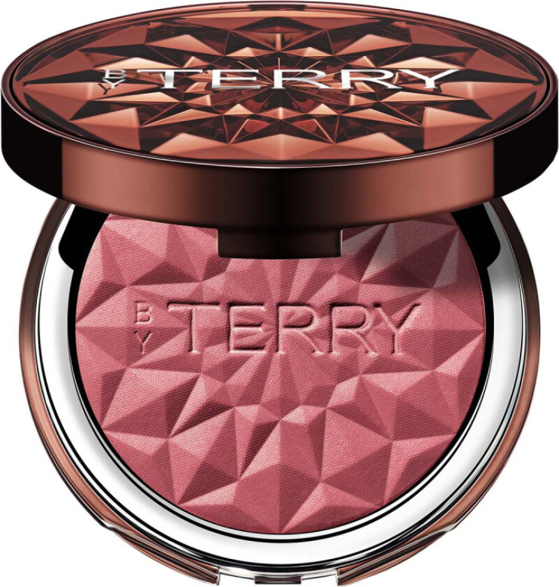 Tea to Tan Powder Blush N6 Spicy Song