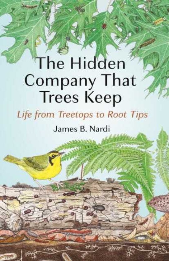 The Hidden Company That Trees Keep Life from Treetops to Root Tips