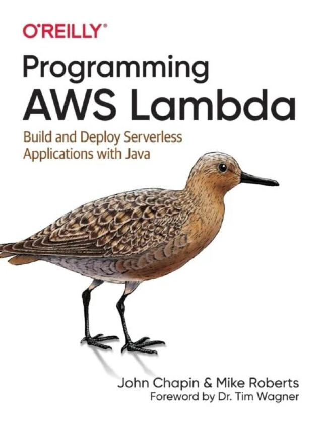 Programming AWS Lambda av John Chapin, Mike Roberts