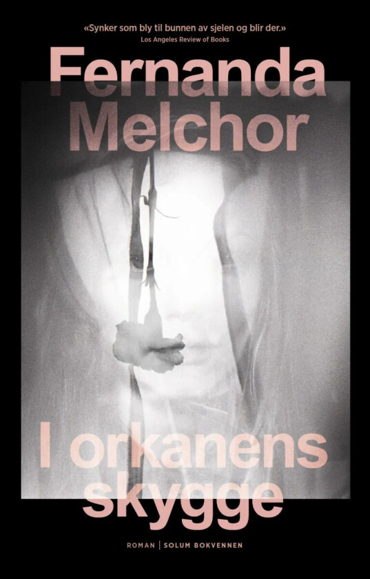 I orkanens skygge av Fernanda Melchor