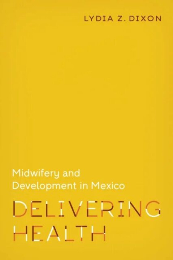 Delivering Health av Lydia Z. Dixon