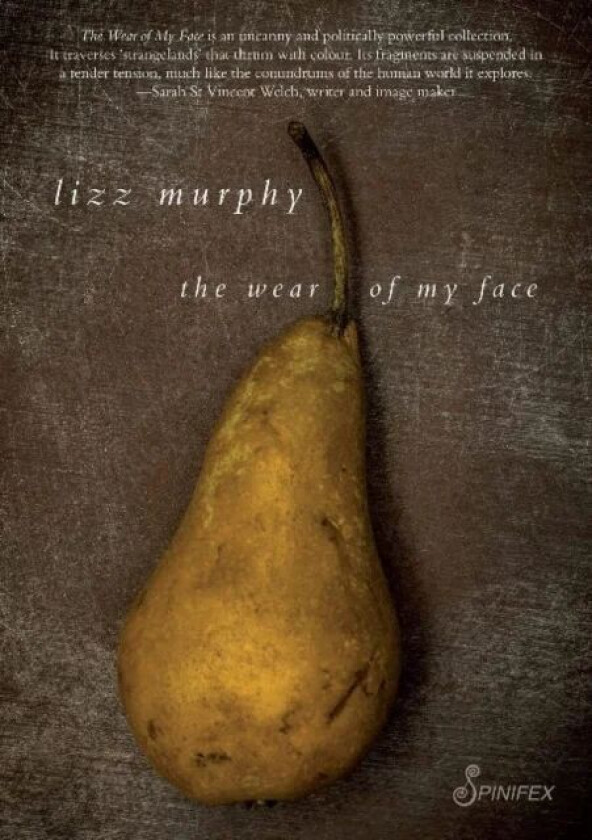 The Wear of My Face av Lizz Murphy
