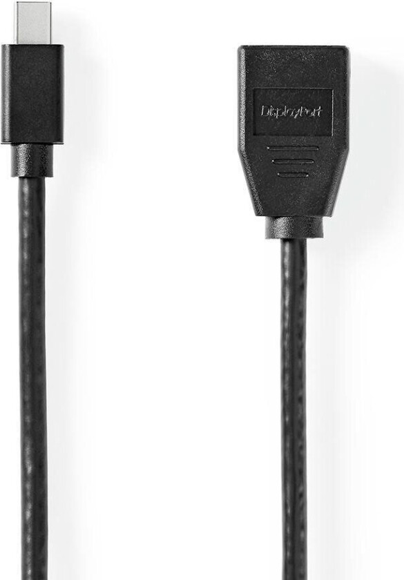Mini DisplayPort til DisplayPort kabel - 0,2m (1.4)