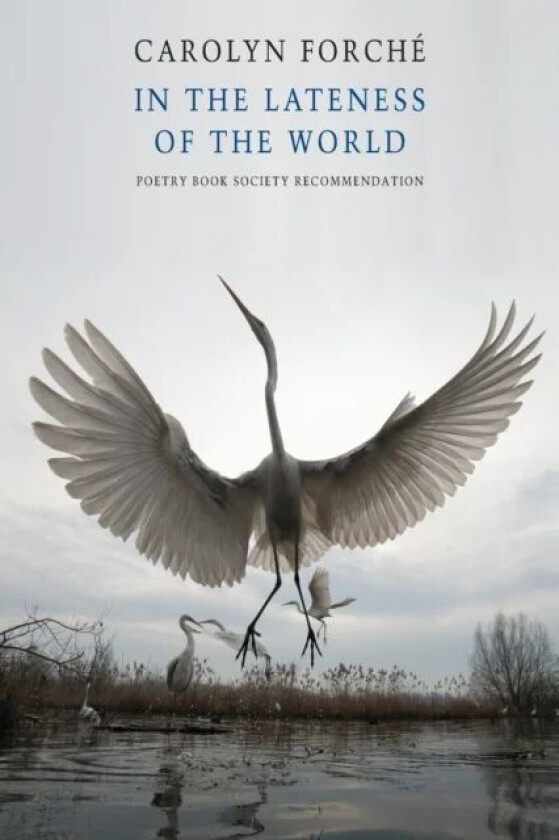 In the Lateness of the World av Carolyn Forche