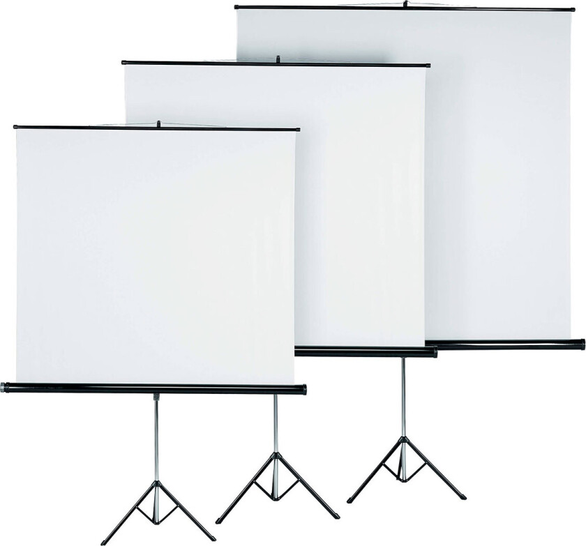 Hama Projektorlerret med Stativ (180x180cm)