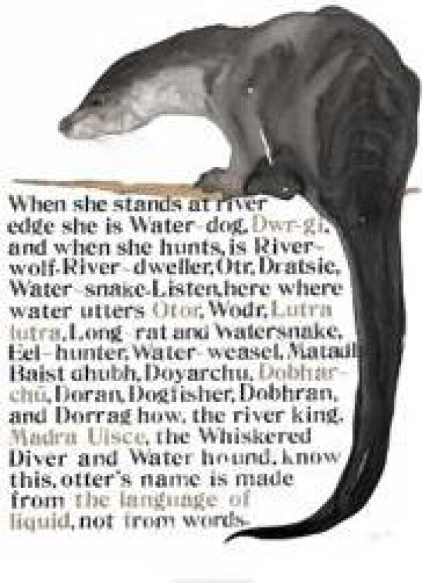 Jackie Morris The Names of the Otter Poster
