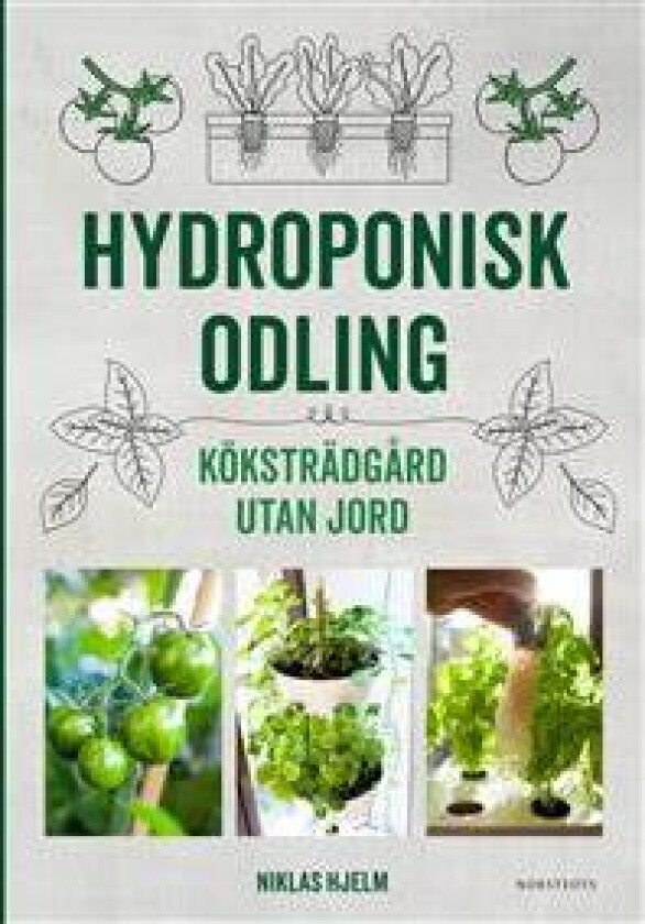 Hydroponisk odling : Köksträdgård utan jord