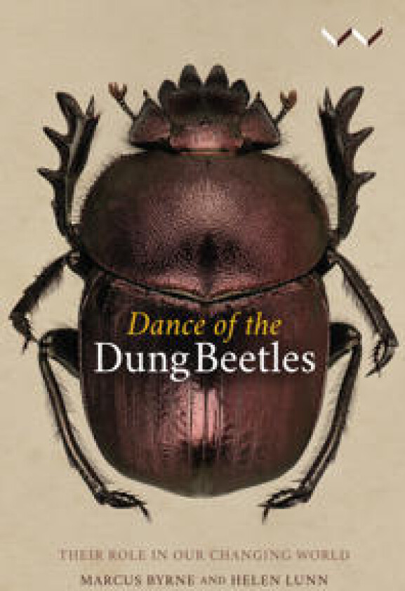 Dance of the Dung Beetles