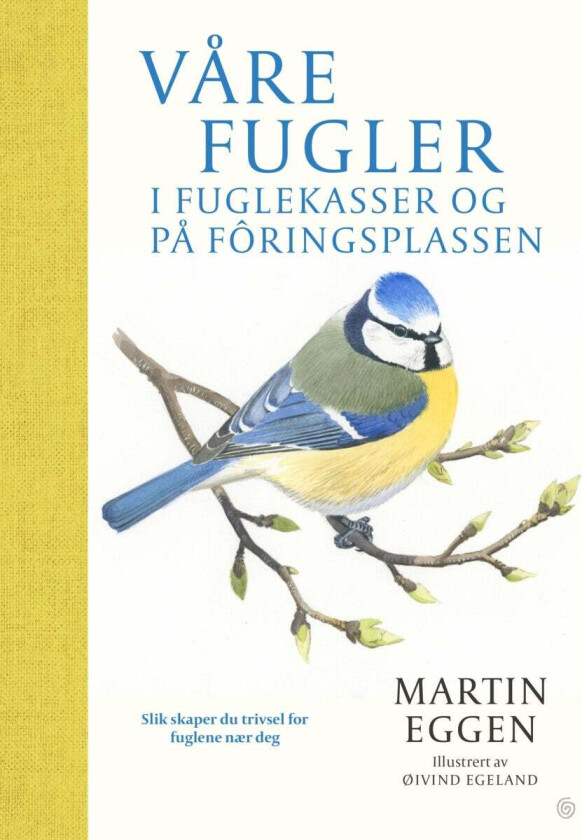 Våre fugler i fuglekasser og på fôringsplassen av Martin Eggen