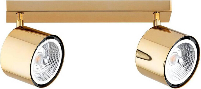 Downlight Chloe justerbar, 2 lyskilder, stål messingfarget