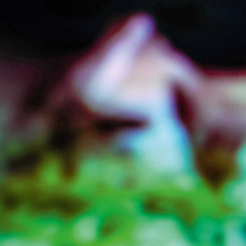 Hair & Treasure Disc Rot LP/Vinyl