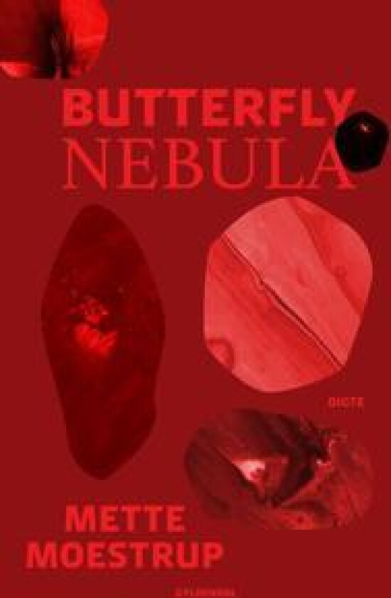 Butterfly Nebula