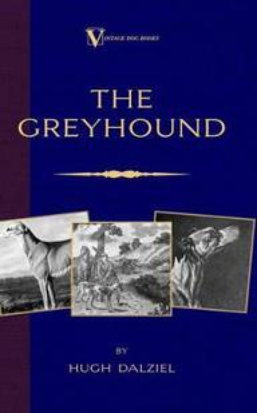 The Greyhound; Its History, Points, Breeding, Rearing, Training and Running (A Vintage Dog Books Breed Classic)