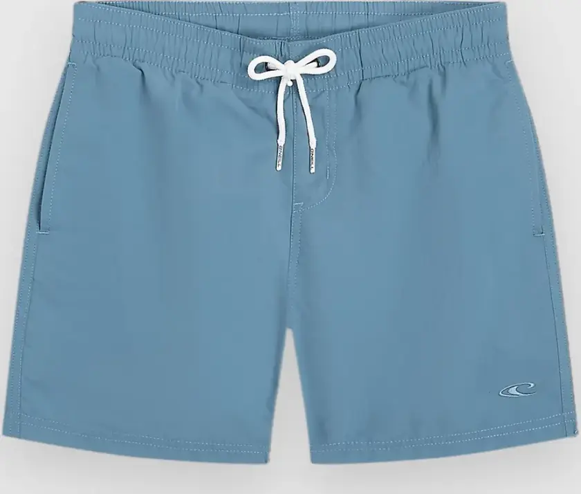 Vert 14" Kids Boardshorts blå