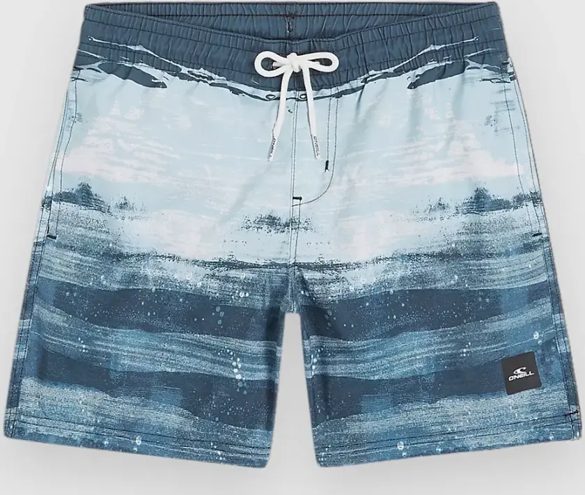 Cali Gradient 14" Kids Boardshorts blå