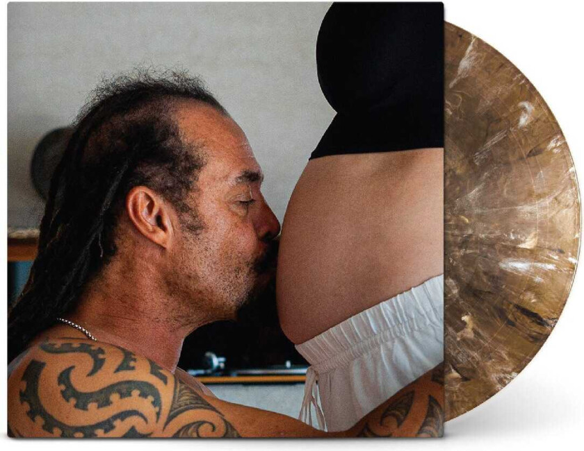 Michael Franti & Spearhead Welcome To The Family LP/Vinyl