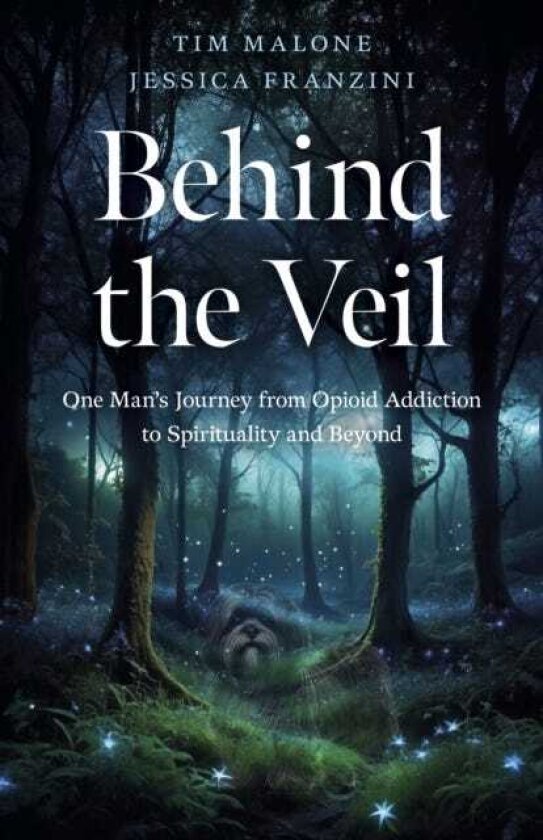 Behind the Veil One Man's Journey from Opioid Addiction to Spirituality and Beyond