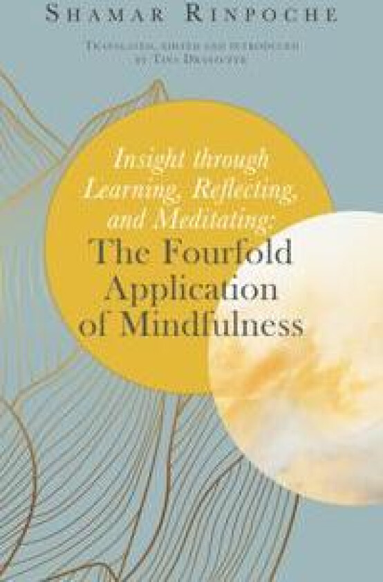 Insight Through Learning, Reflecting, and Meditating