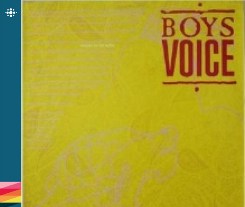 Boys Voice Talking To The Moon CD