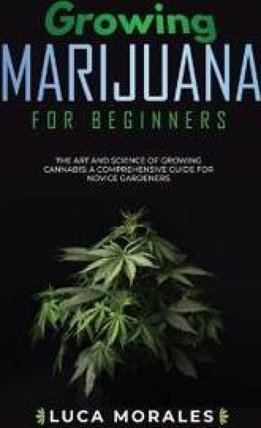 Growing Marijuana for Beginners