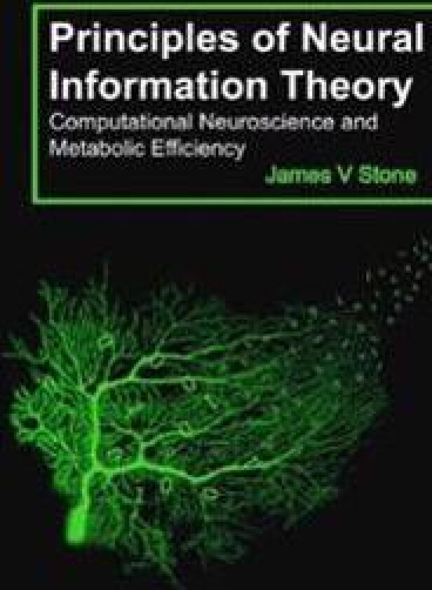 Principles of Neural Information Theory