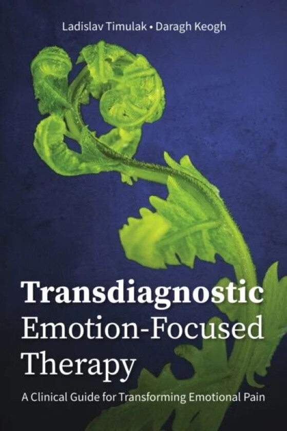 Transdiagnostic Emotion-Focused Therapy av Ladislav Timulak, Daragh Keogh