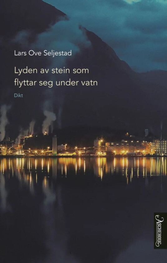 Lyden av stein som flyttar seg under vatn av Lars Ove Seljestad