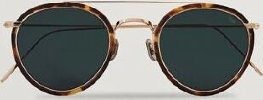 Eyevan 7285 762 Sunglasses Tortoise