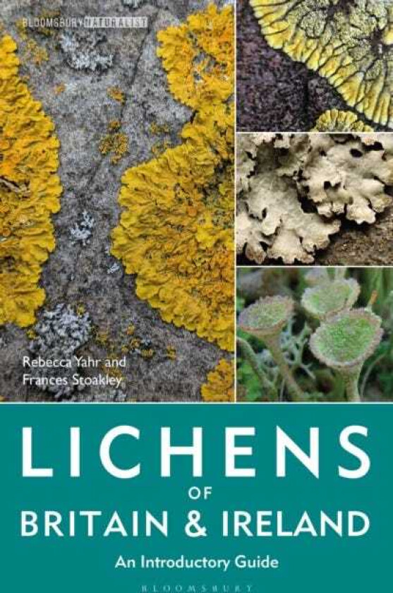 Lichens of Britain and Ireland An Introductory Guide