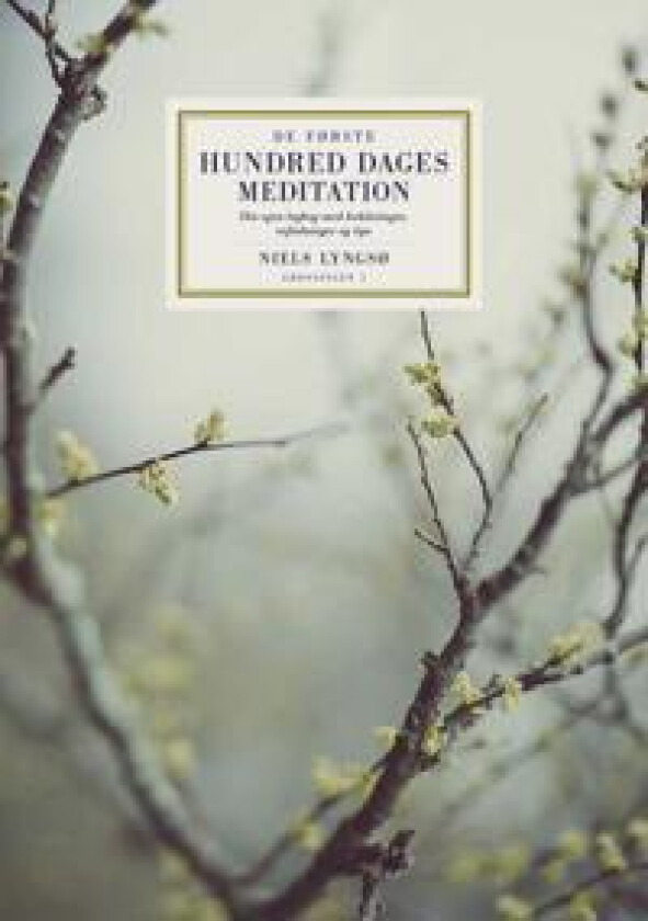 De første hundred dages meditation