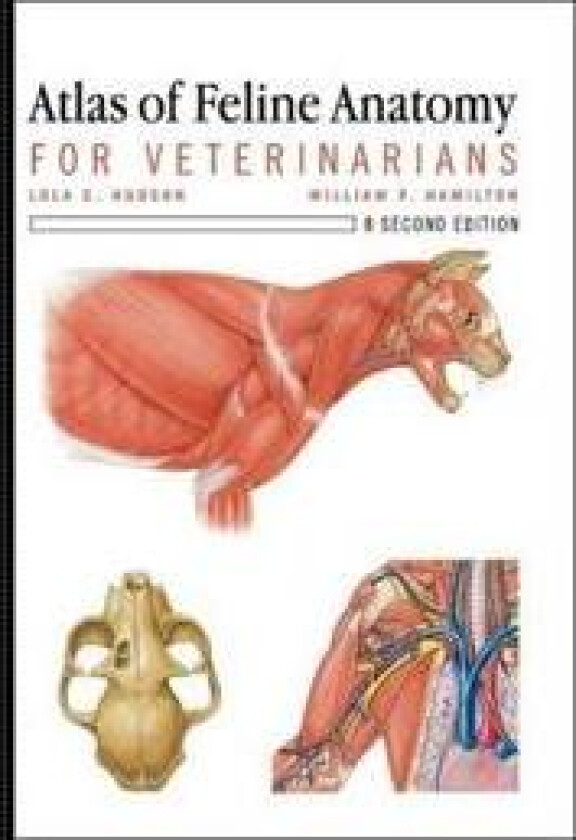 Atlas of Feline Anatomy For Veterinarians