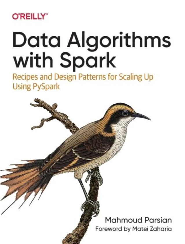 Data Algorithms with Spark av Mahmoud Parsian