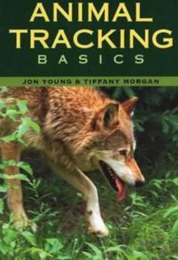 Animal Tracking Basics
