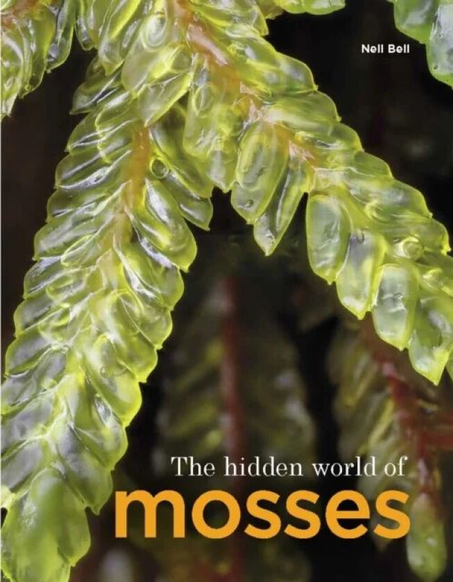 The Hidden World of Mosses av Neil Bell