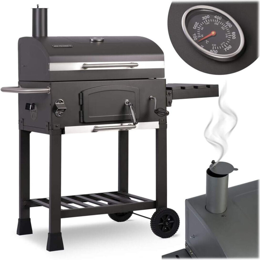 Berdsen BD-891 kullgrill