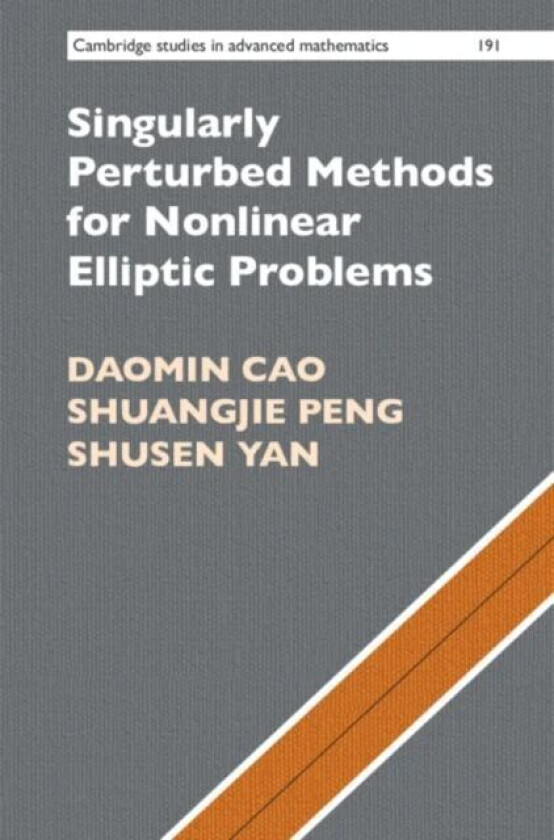 Singularly Perturbed Methods for Nonlinear Elliptic Problems av Daomin (Chinese Academy of Sciences Beijing) Cao, Shuangjie Peng, Shusen Yan