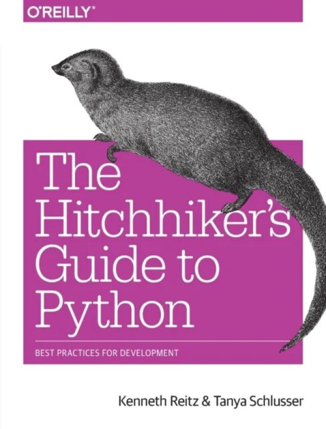 The Hitchhiker's Guide to Python av Kenneth Reitz, Tanya Schlusser