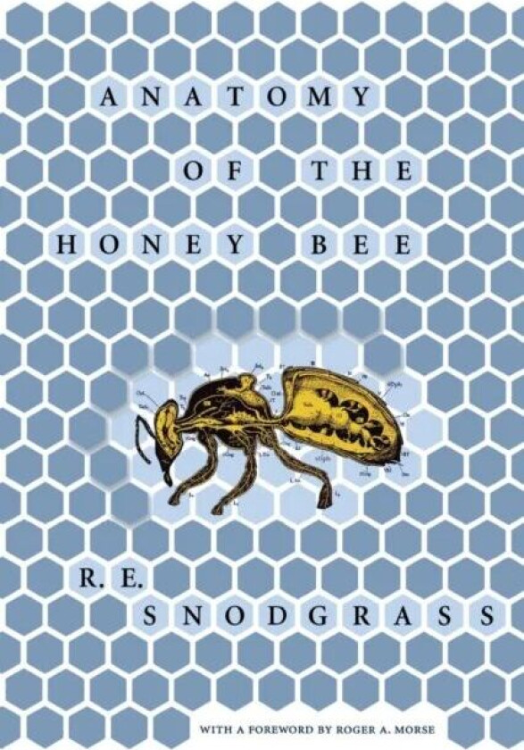 Anatomy of the Honey Bee av R. E. Snodgrass