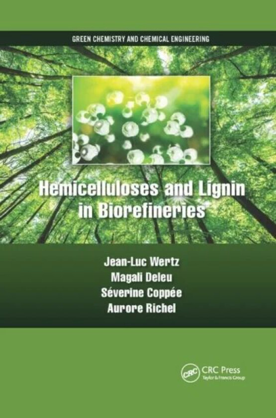 Hemicelluloses and Lignin in Biorefineries av Jean-Luc (l'USINE Belgium) Wertz, Magali Deleu, Severine Coppee, Aurore Richel