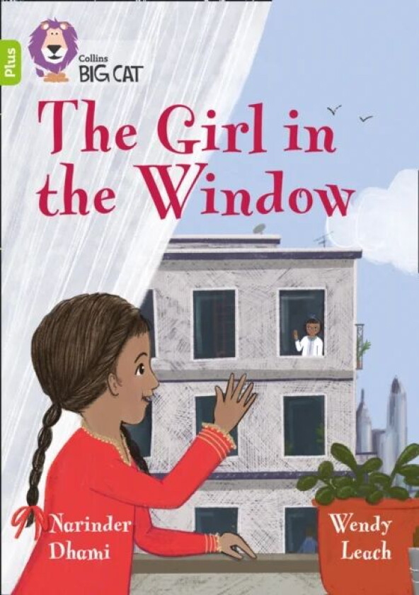 The Girl in the Window av Narinder Dhami