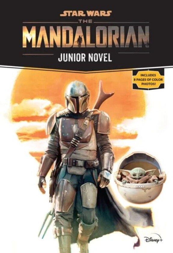 Star Wars: The Mandalorian Junior Novel av Joe Schreiber