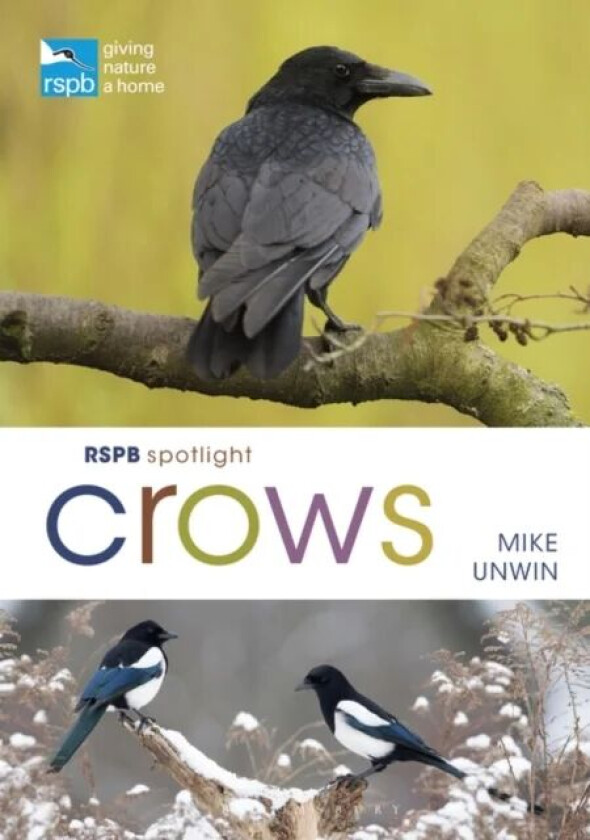 RSPB Spotlight Crows av Mike Unwin