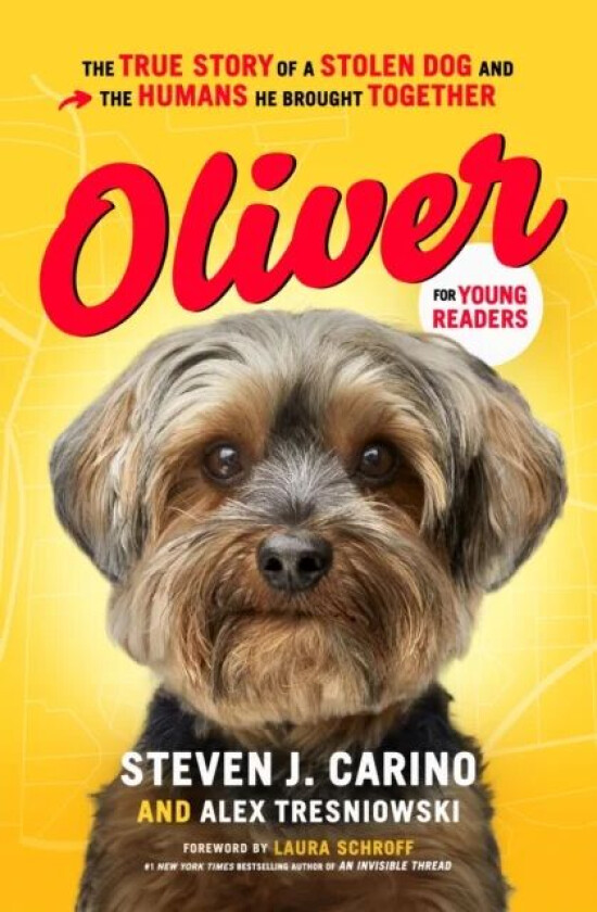 Oliver for Young Readers av Steven J. Carino, Alex Tresniowski