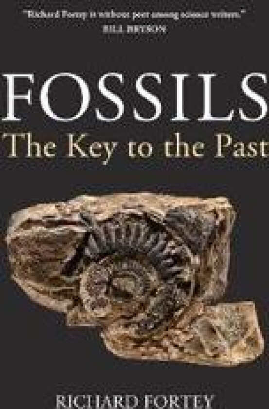 Fossils