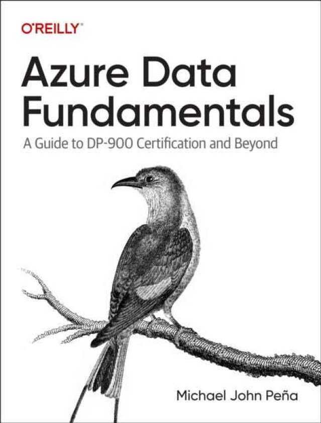 Azure Data Fundamentals A Guide to DP900 Certification and Beyond
